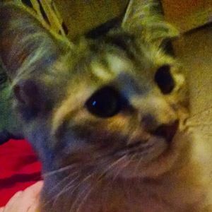 Meet your Posher, Carly